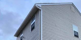 Best Custom Siding Design  in Daytona Beach Shores, FL